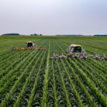 james baltz zuhouVw4ZkQ unsplash