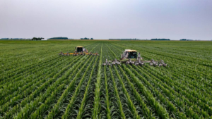JPMorgan Alerta: Redução de Perspectivas para São Martinho e Cautela no Setor Agro!