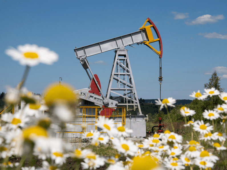 Petróleo em Queda Livre: Análise de Crise Sem Precedentes desde 2020! 2 petroleo margaridas