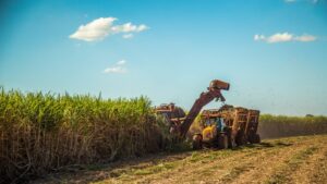 “UBS BB Abre o Jogo: Raízen em Queda Livre e São Martinho em Alerta — O Que Acontece com as Commodities?”