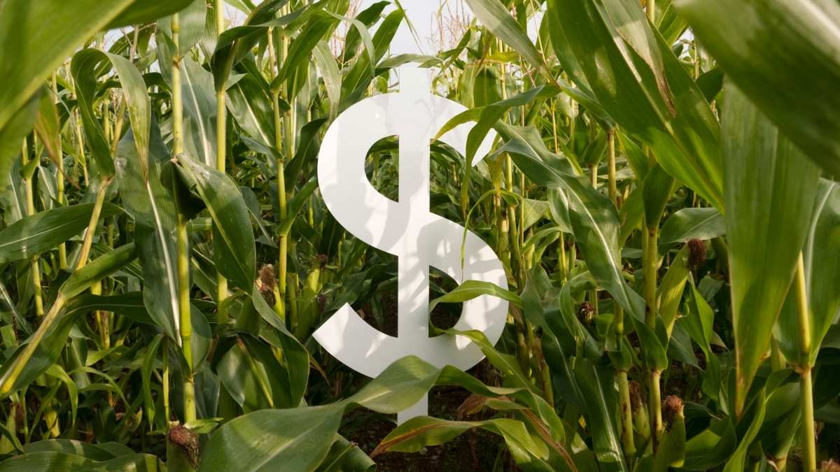 Surpreenda-se com as ações do agro em 2026: O que o BofA revela além da JBS! 1 Bilionario do Agro