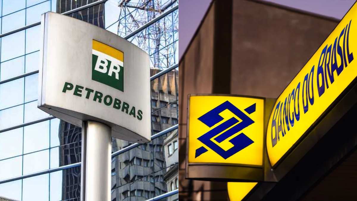 Concurso publico Petrobras e Banco do Brasil Montagem