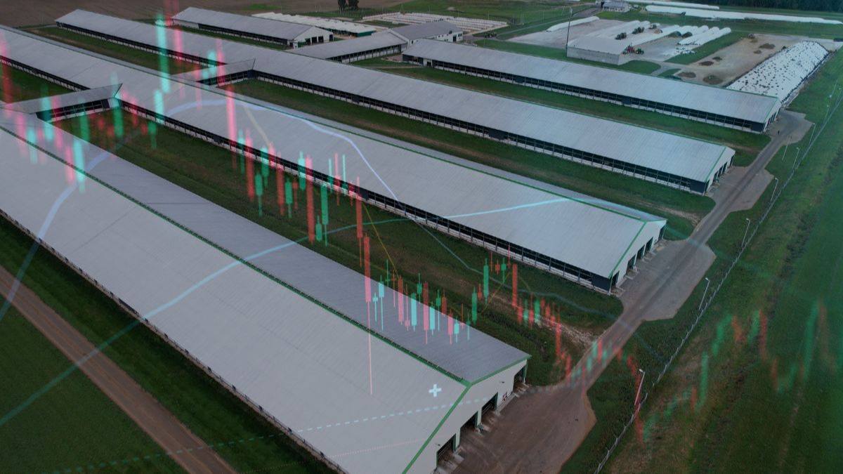 Cotas FIIs de galpoes na B3