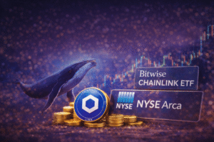 Baleias Investem Pesado em Chainlink com a Chegada do Novo ETF nos EUA!