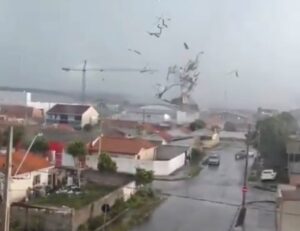 Tornado Devasta Cidade no Paraná: Árvores, Telhados e o Medo em Alerta!