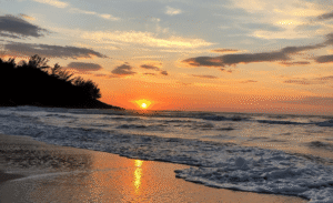 Brasileiro exalta belezas e povo, mas explode em descontentamento com a política e a economia!