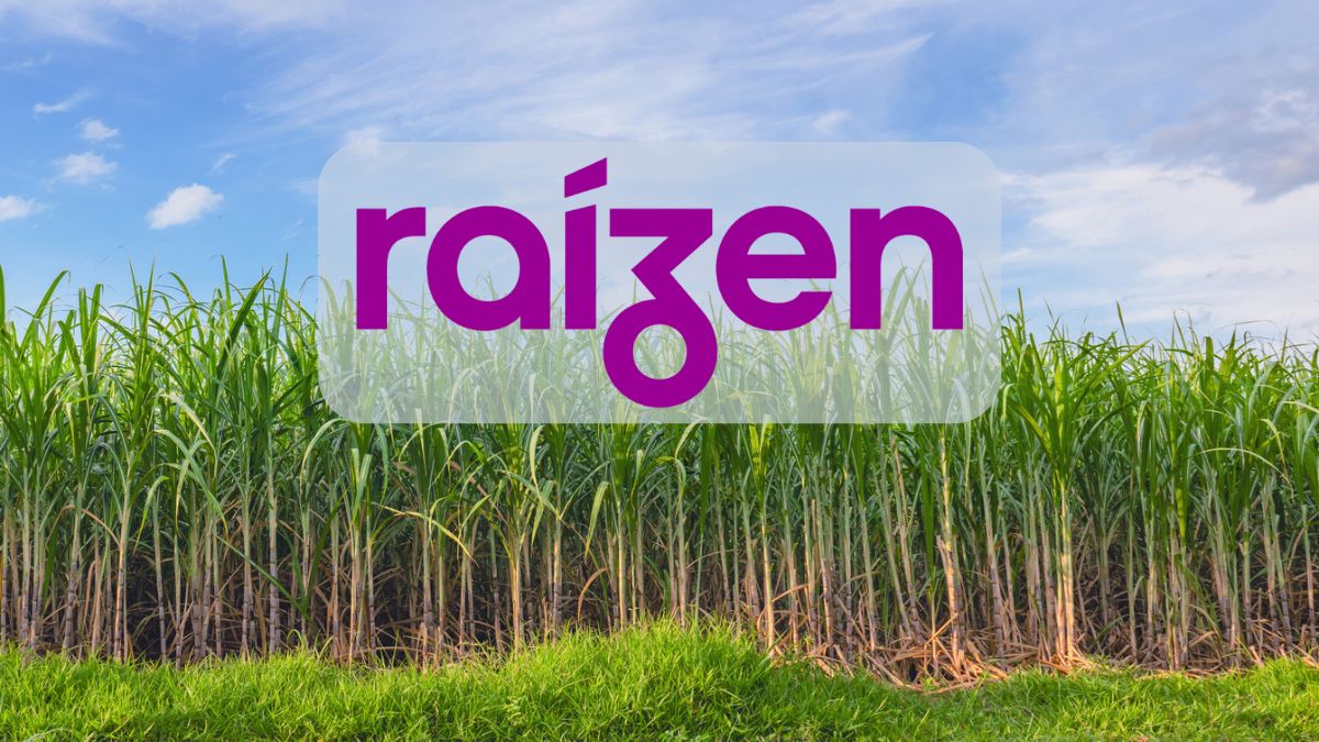 Raízen (RAIZ4) despenca 40% e se torna a grande vilã do Ibovespa em fevereiro; MRV (MRVE3) explode com ganhos! 2 logo raizen cana de acucar