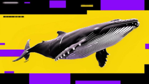 Queda do Bitcoin: A Vendetta dos ‘Whales’ Pode Anunciar um Colapso Imminente!