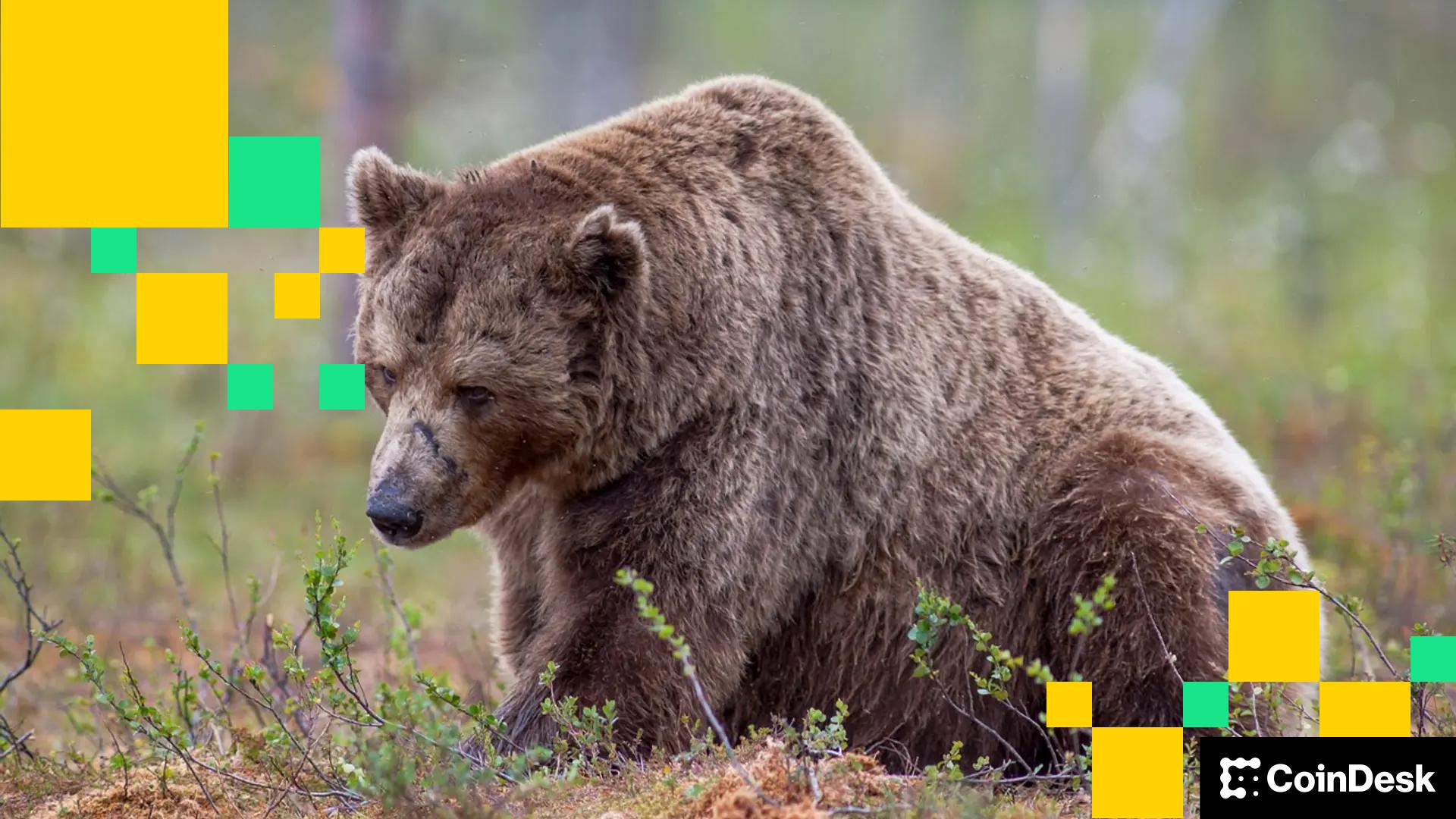 51be74a66c0a4eb937dc2a4c32c217d8fb4d8289