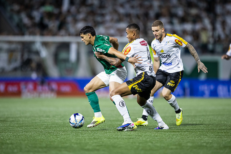 55130642528 9c9686418f c