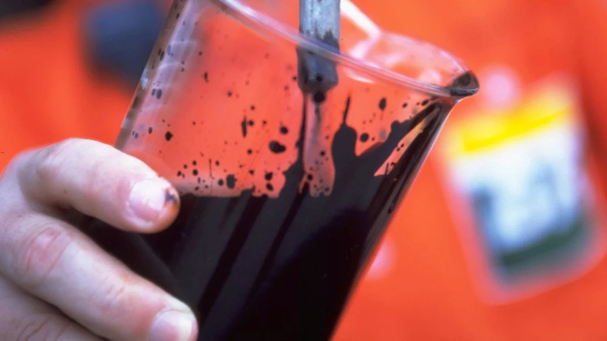 Amostras de petroleo petrobras petr3 petr4