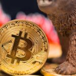 Bitcoin em destaque com urso ao fundo