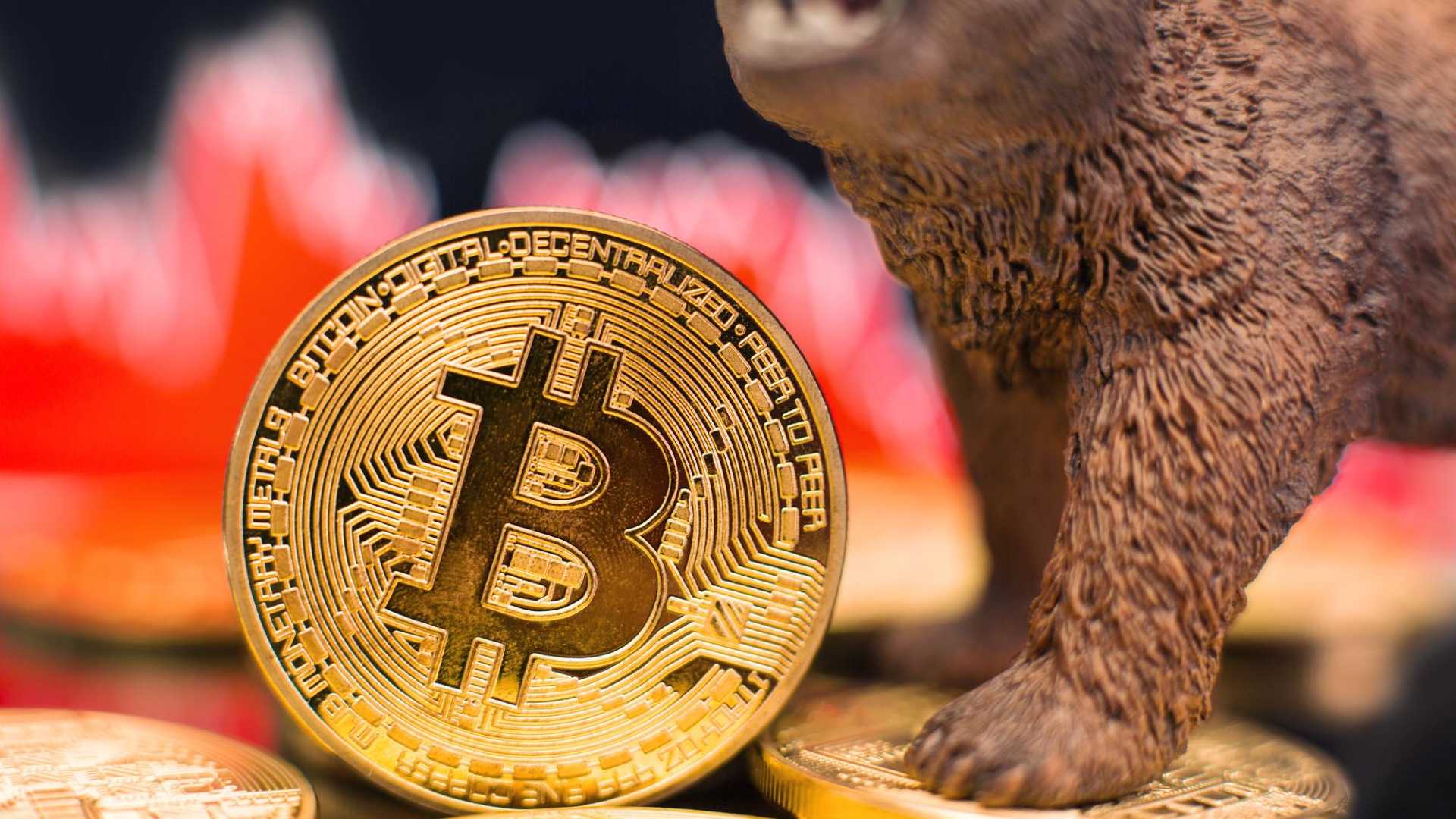 Bitcoin em destaque com urso ao fundo