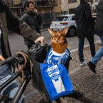 Captura de tela 2026 03 21 190859