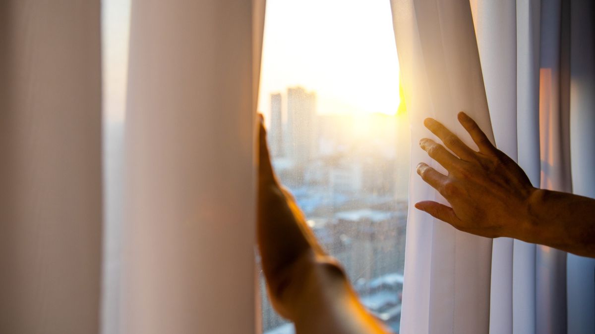 Atraso na Regulação do ITCMD em SP: Última Chance para Planejar sua Herança com Doações em Vida! 2 Companhias aereas brasileiras 8