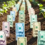 Empresas em Alerta: Relatórios ESG Dominam como a Nova Prioridade Urgente! 2 Dinheiro com ESG 1