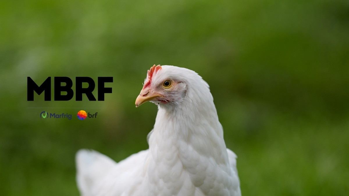 A Hora da Decisão: JP Morgan Avisa Sobre MBRF3! 4 MBRF3 frango oriente medio