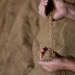 MYMI5O3QANANNAYGJ6NCPKJANA