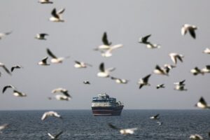 Ormuz paralisado: o que está em jogo além do petróleo? Confira!