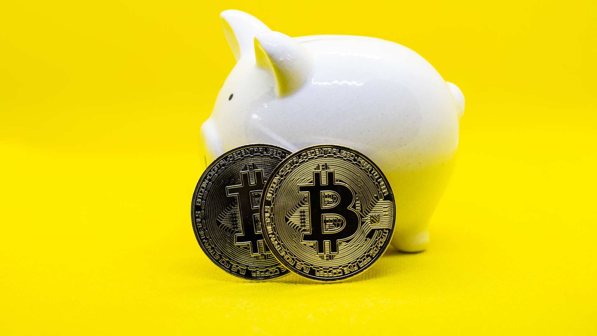 Porco com fundo amarelo e bitcoins simbolicos ao lado