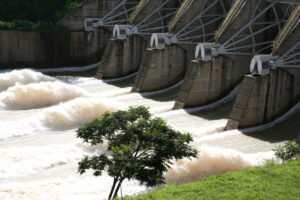 Resultado Surpreendente: Ação Resiste em Meio à Queda Abrangente do Ibovespa!