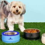 comedouro bebedouro pets stanley gkpb banner