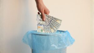 dinheiro no lixo fortunas iStock.comOlga Yastremska