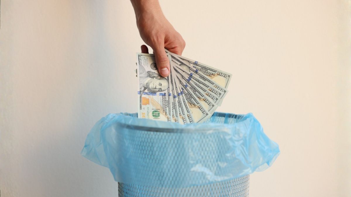 dinheiro no lixo fortunas iStock.comOlga Yastremska