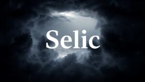 selic alivio nos juros e na divida