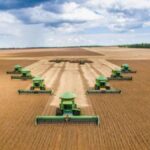 slc agricola acoes dividendos