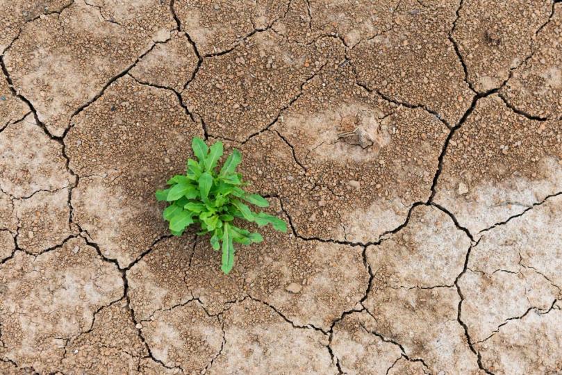 Desmontagem do DeFi: Um teste de resistência ou o fim do jogo? 4 1e3a2d00bfed4f5b35ba79d8cc489f7b4312830f