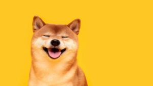 Dogecoin Dispara 10% e Desafia Bitcoin com Interesse em Alta!