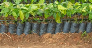 4N2Z2G2FINADLJMFMRJX53B5PM