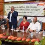 Cacau da Bahia pode ganhar blockchain para garantir seu rastreio