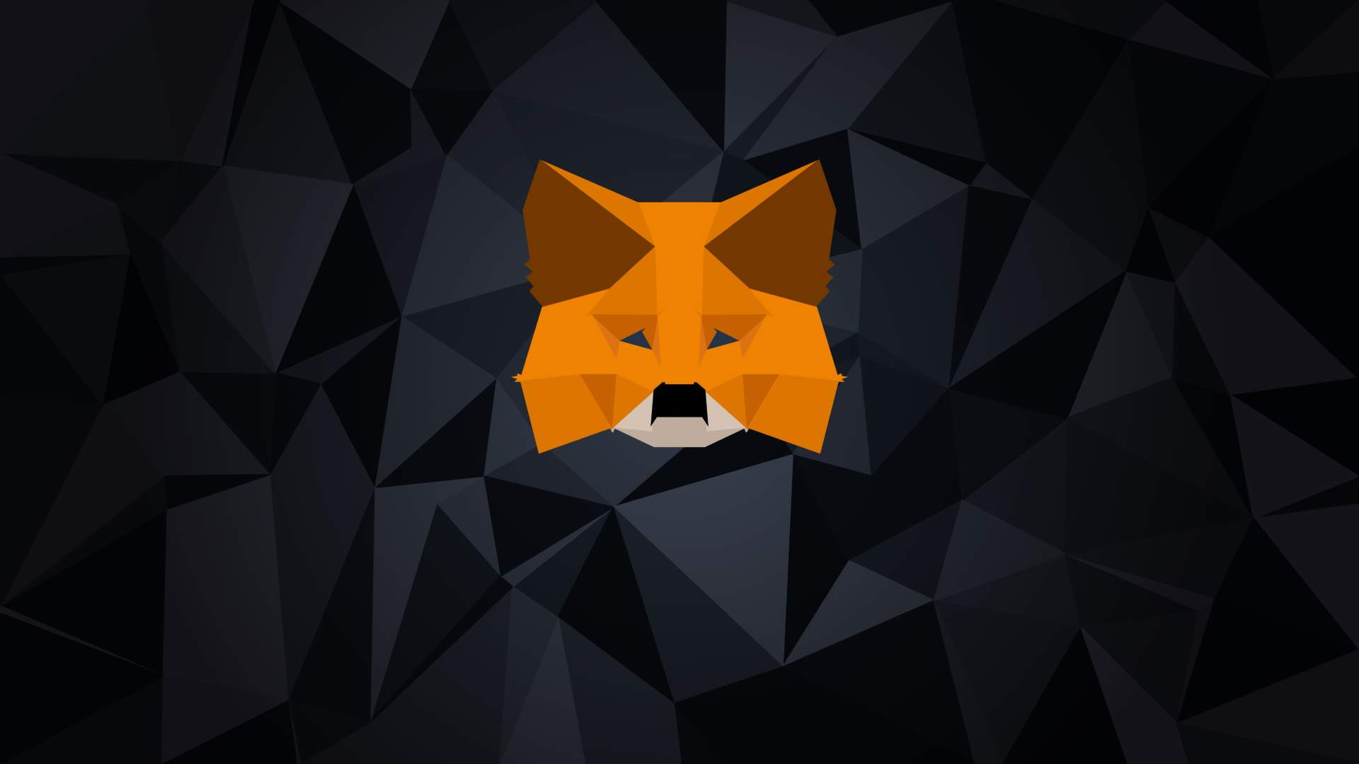 Imagem da MetaMask com fundo preto