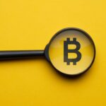 Lupa com bitcoin