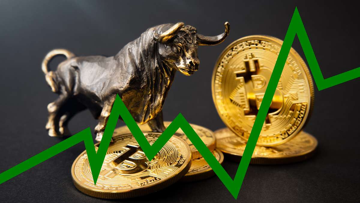 bitcoin criptomoedas grafico bullmarket