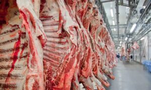 Explosão dos Custos: Frete de Carne Para Exportação Dobra em Meio à Guerra no Irã!