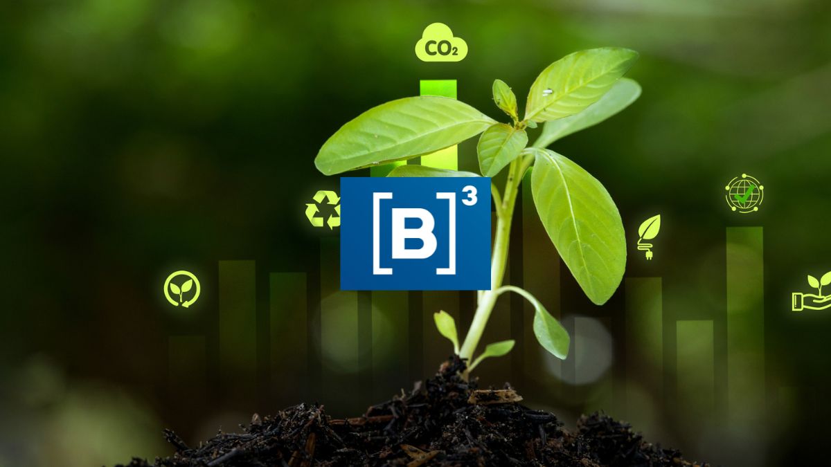 B3 Reitera seu Domínio: Por Que a 'Mãe da Bolsa' É a Escolha Certa em ESG! 1 carteiras esg abril acao b3