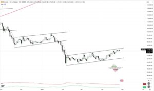 Peter Brandt Soa o Alerta: Bitcoin em Alta, Mas Cuidado com a Armadilha!