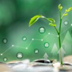 sustentabilidade esg investimentos reflorestamento