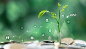 sustentabilidade esg investimentos reflorestamento