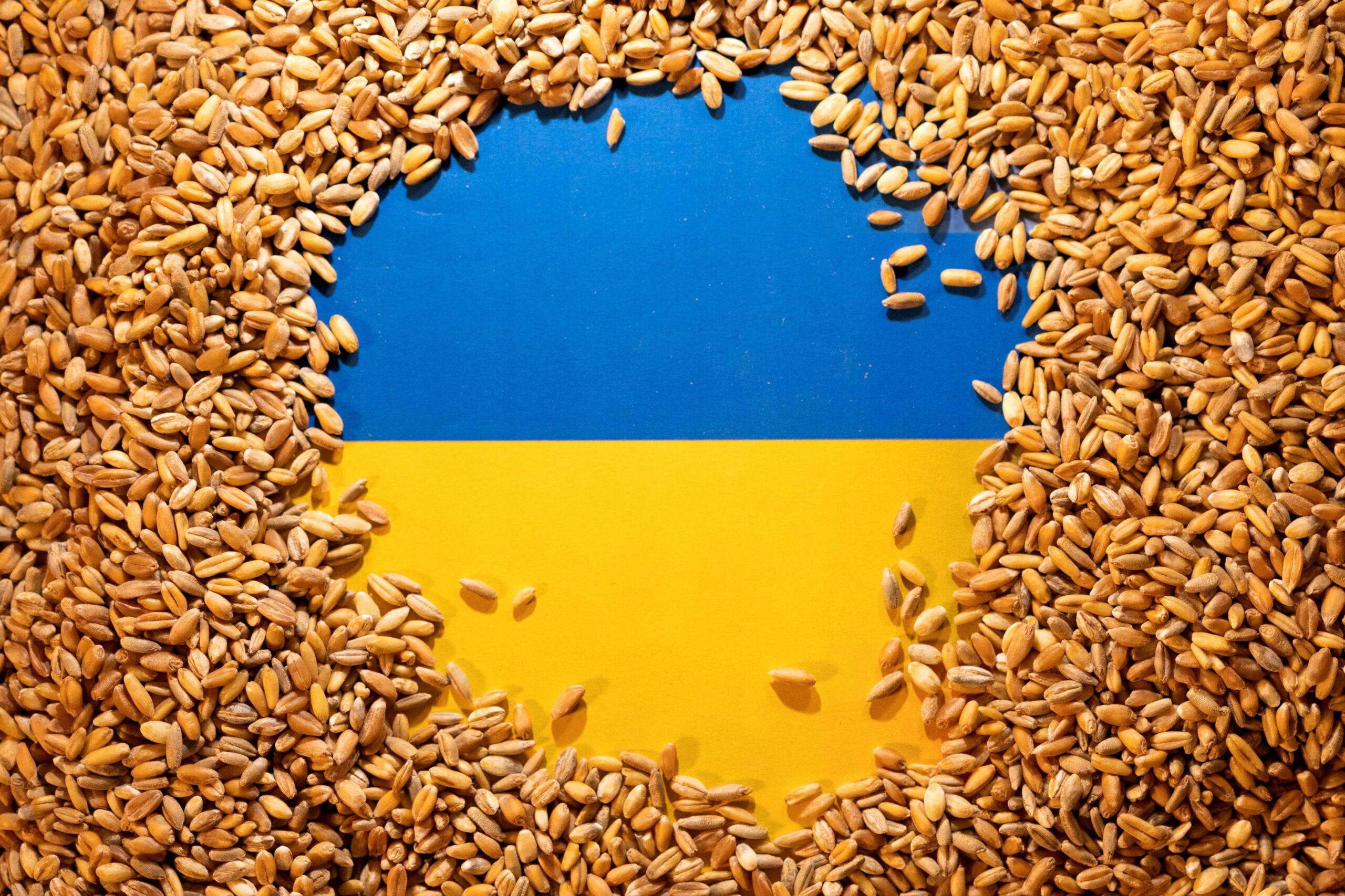 2024 03 07T120316Z 1 LYNXNPEK260FX RTROPTP 4 UKRAINE CRISIS GRAINS SOWING scaled