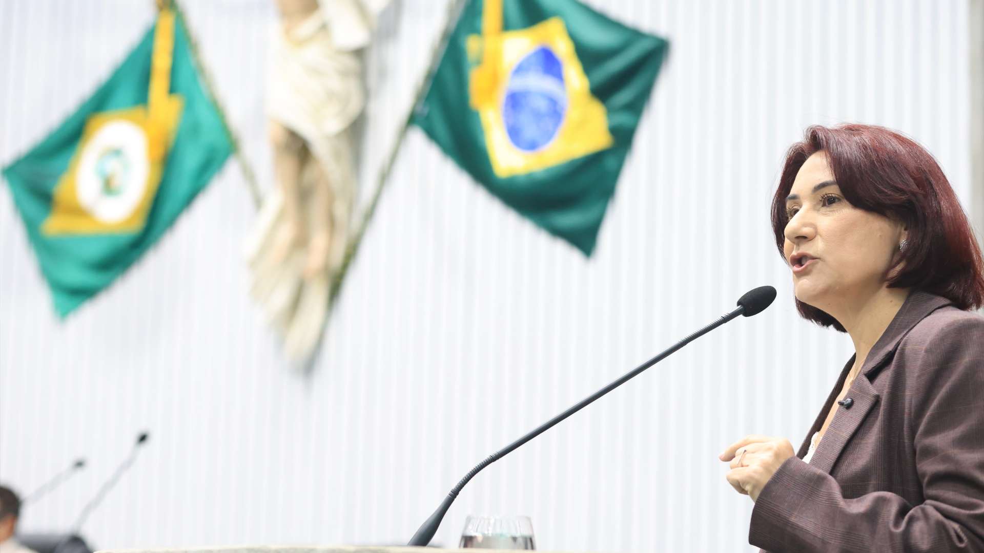 Deputada do Ceara