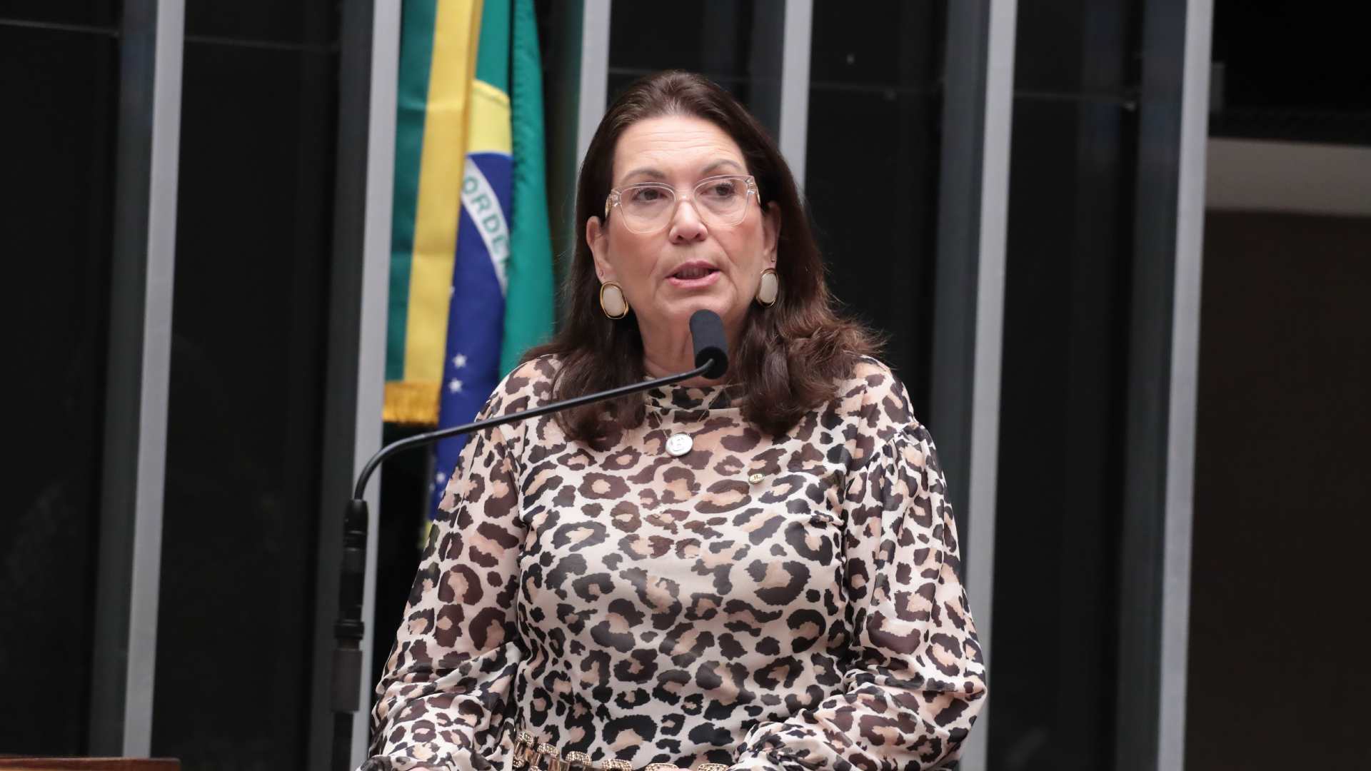 Relatora ataca projeto Drex e defende com unhas e dentes o papel moeda! 1 Deputada relatora de projeto de lei