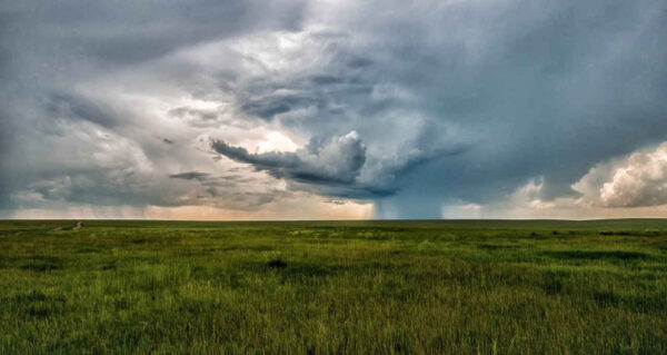El Niño Godzilla: A Tempestade Que Pode Destruir a Agricultura Brasileira! 1 admin