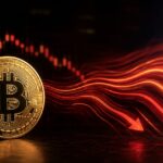 bitcoin fluxos saidas etfs