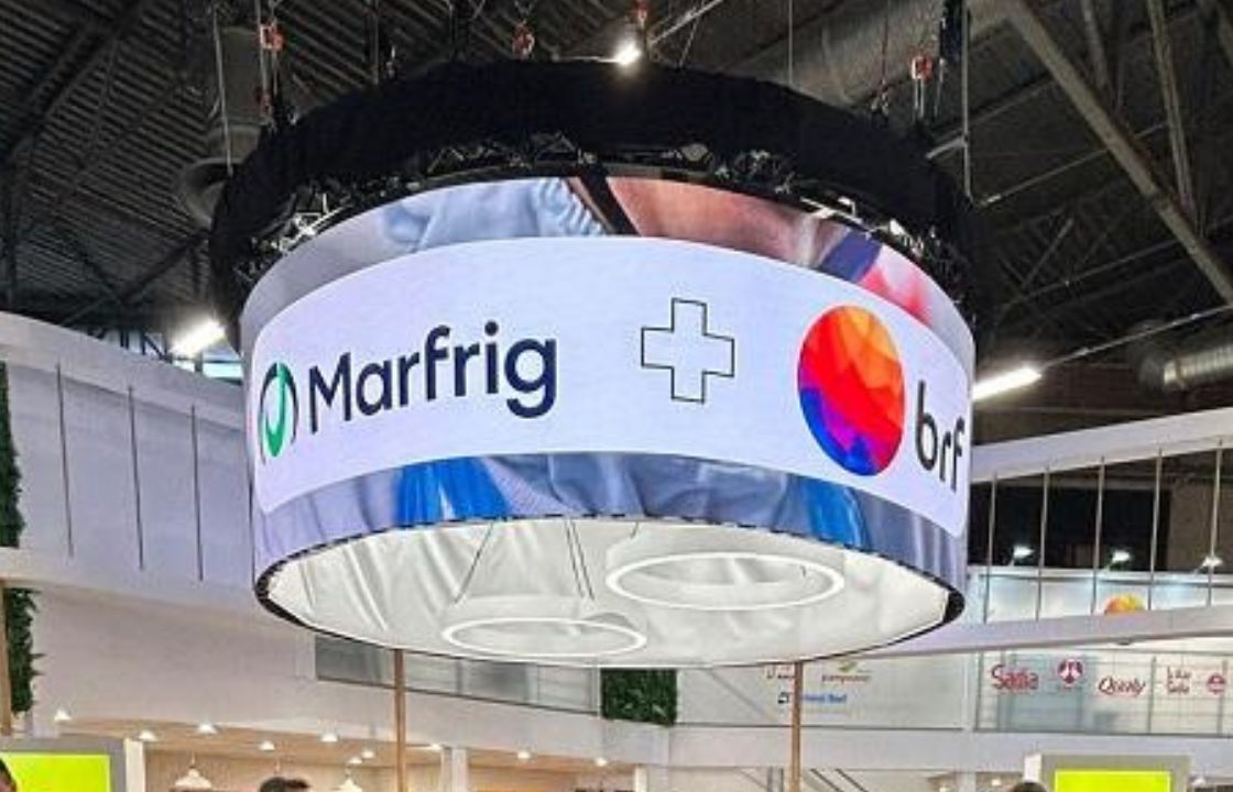 brf marfrig divulgacao 01