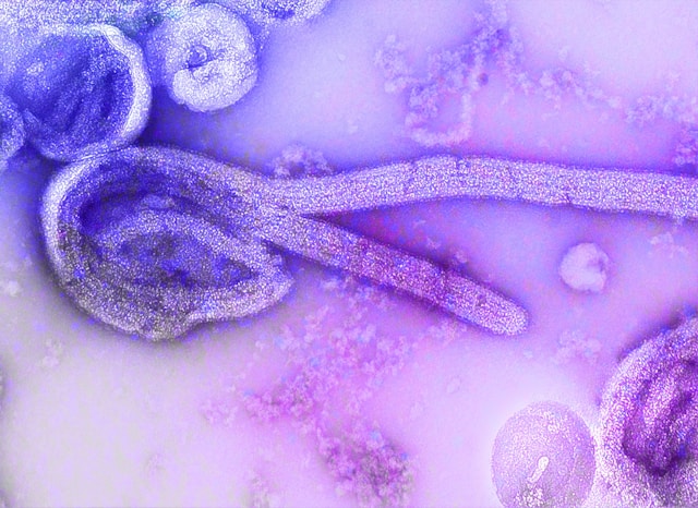 cdc 7CQFCHoFL o unsplash