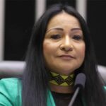 deputada silvia waiapi.webp